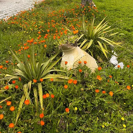Il Giardino Di Vincenzina
